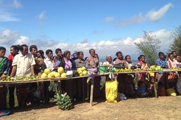 Half-Day Dili Cultural Tour