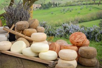 Cheese and Chocolate Tasting Experience in the Tuscan Countryside