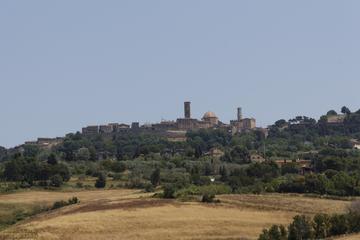 Super Tuscan Wines and Etruscan Cities Small Group Tour