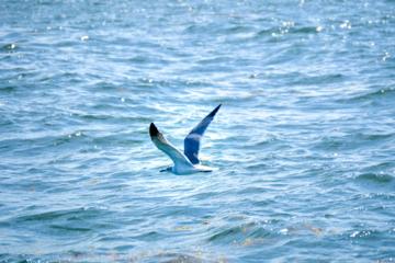 Blue Discovery Eco Tour