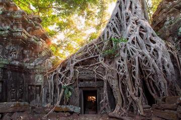 Tour of Banteay Kdei and Ta Prohm Including Khmer Massage and Cultural Dinner Show