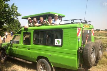 3 days serengeti National park and Ngorongoro crater safari from Arusha town
