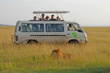 8 days Maasai mara, Nakuru, Amboseli and Tsavo west National parks Safaris