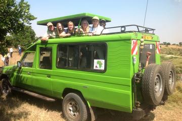 9 days Tanzania and kenya safaris from Arusha town to Nairobi