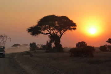 ARUSHA NATIONAL PARK HALF DAY TOUR FROM ARUSHA TOWN