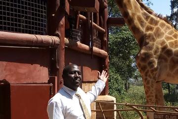 David shedrick Girraffe centre and karen blixen Full day tour