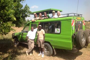 Mikumi national park full day tour from Dar es sallam