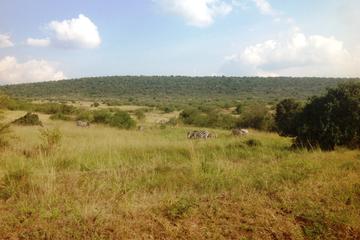 TARANGIRE NATIONAL PARK FULL DAY TOUR FROM ARUSHA TOWN