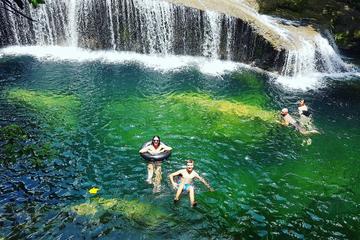 Discover Cascades and Swim with Turtles in Vanuatu