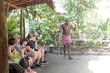 Vanuatu Shore Excursion: Full-Day Efate Island Tour