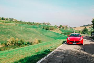 Ferrari FF Road Test Drive