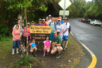 Rainforest Nature Walk to La Mina Waterfall