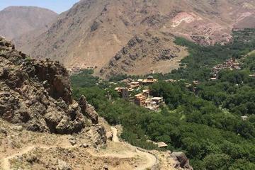 Imlil and Mount Toubkal day trip from Marrakech