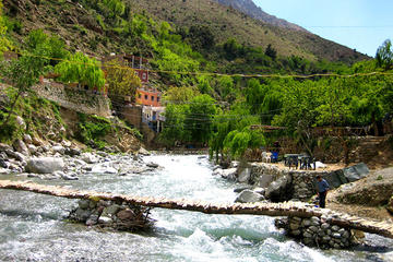 Ourika Valley and Atlas Mountains Full Day Tour with Lunch