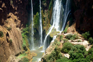 Ouzoud Waterfalls Full-Day Group Tour from Marrakech