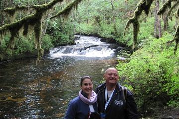3 Hour Rainforest Walk and Totem Park