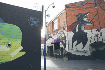 Perth and Northbridge Art Walking Tour