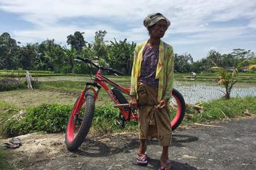 Half-Day Fat Tire Electric Bike Tour from Ubud