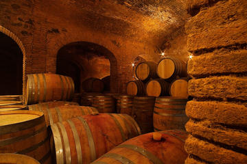 Private Priorat Experience: Wine, Oil and History Tour from Barcelona