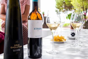 Wine Tasting and Lunch Experience from Barcelona