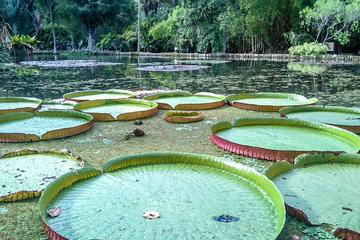 Botanical Garden, a Place of Science, Culture, and Leasure