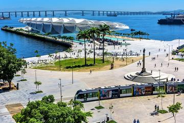 Sightseeing through the Tropical Forest and the City of Rio