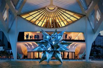 Visiting Museum of Tomorrow, Art Museum of Rio, and CCBB