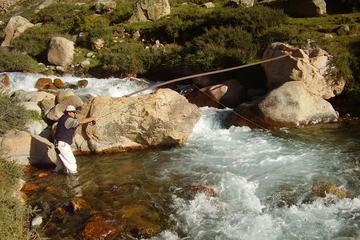 Fly Fishing in Mendoza Including Riverside Barbecue