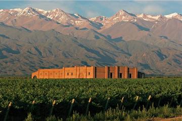 Private Day Trip: Mendoza Wine Tasting with Lunch
