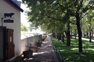 Franschhoek Culinary Safari