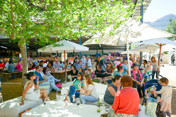 Stellenbosch Cape MARKET Shuttle - Friday Evenings