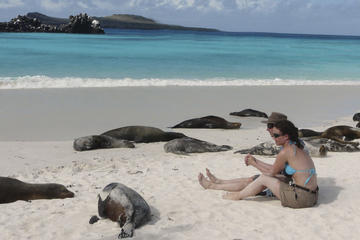 6-Day Galapagos Tour: Santa Cruz and Isabela Islands