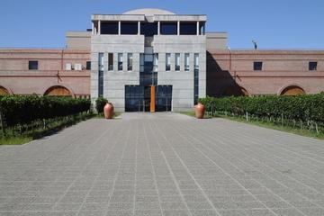 Classic: Wines in Valle de Uco