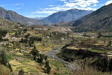 Colca Canyon: 2 Day Tour from Arequipa