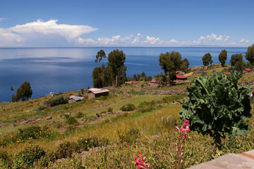 Full Day: Uros and Taquile Island- Puno