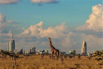 Best of half day Nairobi