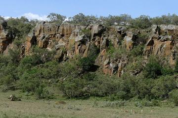 Naivasha Highlights: Guided Day Tour from Nairobi