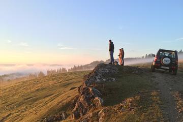 Private 4wd safari and hiking in the Eastern Carpathians