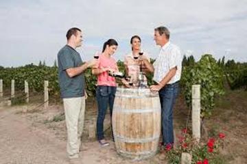 Chauffeur Drive Private Wine Tour