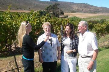 Full-Day Private Wine Tour from Franschhoek