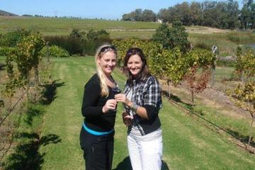 Half-Day Guided Private Wine Tour from Franschhoek