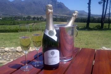 Private Chauffeur Wine Tour from Franschhoek