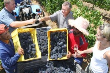 Private Chauffeur Wine Tour from Stellenbosch