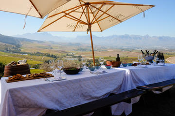 Stellenbosch Private Wine Tour for 1 to 6 guests or 7 to 12 guests