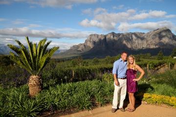 Vineyard Drop and Pick up Wine Tour in the Franschhoek Valley
