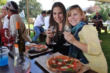 Winelands Cool Climate Vineyard Tour