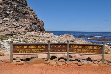 Cape Peninsula Guided Day Tour from Cape Town