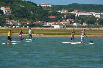Fun & lunch - Stand Up Padel day tour in Obidos Lagoon
