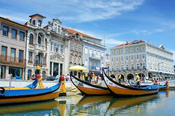 Private Tour: Aveiro (Little Venice) and exotic bird photo tour day trip from Lisbon