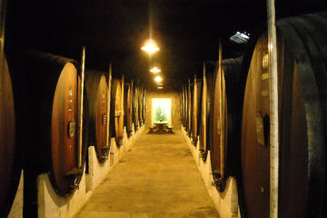Setúbal Private Full Day Wine Tour with Tasting and Lunch at the Beach